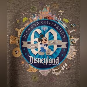 Disneyland Resort Gray Graphic T-Shirt XL